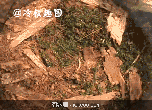 图片[1]-林子大了 什么囧都有 2012-11-28-囧客圈