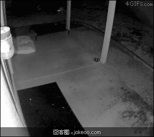 图片[1]-乃们，不卖萌会屎咩？！-囧客圈