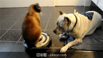 图片[4]-除了卖萌，乃们还能干啥-囧客圈