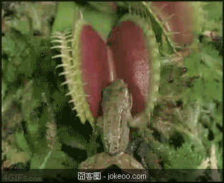 图片[5]-林子大了 什么囧都有 2012-11-29-囧客圈