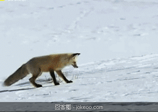 图片[2]-乃们，不卖萌会屎咩？！-囧客圈