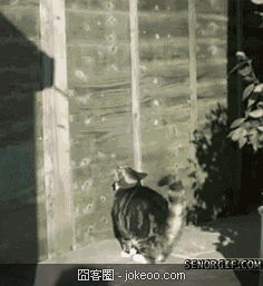 图片[4]-乃们，不卖萌会屎咩？！-囧客圈