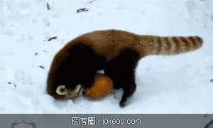 图片[5]-乃们，不卖萌会屎咩？！-囧客圈