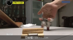 图片[2]-我太倒霉了-丢了工作，女朋友又走了， 连要自杀的毒酒都被你喝了！-囧客圈