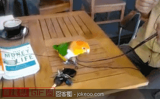 图片[5]-我太倒霉了-丢了工作，女朋友又走了， 连要自杀的毒酒都被你喝了！-囧客圈