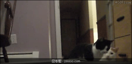 图片[5]-林子大了 什么囧都有 2012-12-01-囧客圈