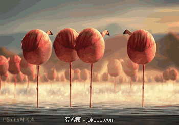 图片[5]-别以为哥被关在笼子里就好欺负，哥还有化学攻击！-囧客圈