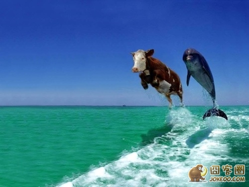 图片[7]-这个妹子你要上半身还是下半身?-囧客圈