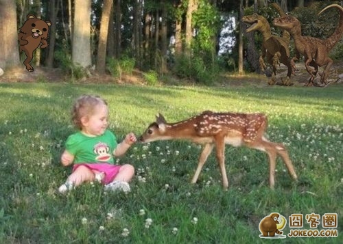 图片[5]-这个妹子你要上半身还是下半身?-囧客圈