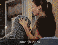 图片[5]-看一次笑尿一次，2货乃们还好么？-囧客圈