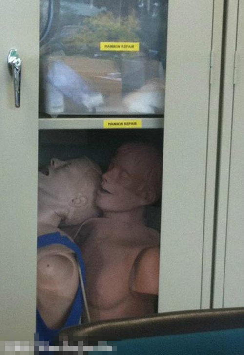 64620013201212261400001516345866624_001