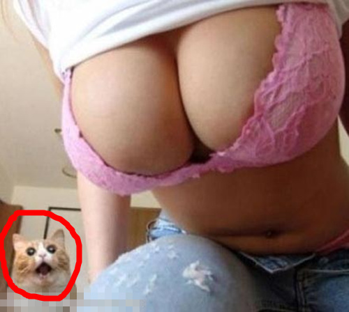 64620013201212261439261256016375736_000