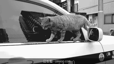 图片[3]-这是神马情况!哥发现了某张图不得了的内涵~!-囧客圈