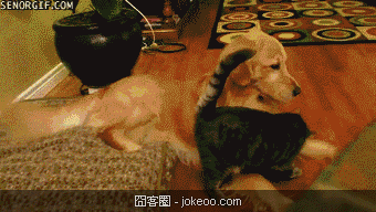 图片[2]-职业卖萌,换谁谁也受不了-囧客圈