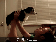 图片[3]-职业卖萌,换谁谁也受不了-囧客圈