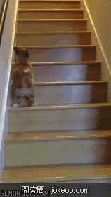 图片[5]-美女地铁上玩iphone的无知后果-囧客圈