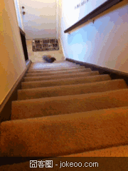 图片[2]-哥们你这是自找的,蛋疼帝!-囧客圈