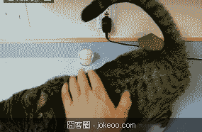 图片[5]-职业卖萌,换谁谁也受不了-囧客圈