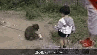 图片[4]-萌物又来了,快来治愈一下-囧客圈