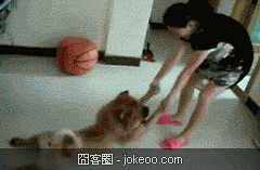 图片[5]-萌物又来了,快来治愈一下-囧客圈