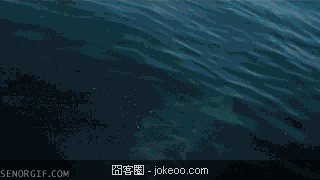 图片[1]-2货们,你们赢了!-囧客圈