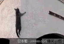 图片[3]-请珍惜你身边的2货朋友,因为他们真的很2-囧客圈