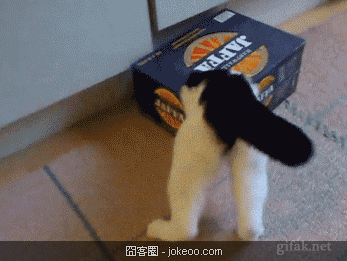 图片[2]-hi,兄弟来一个man的打招呼!-囧客圈