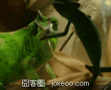 图片[1]-hi,兄弟来一个man的打招呼!-囧客圈