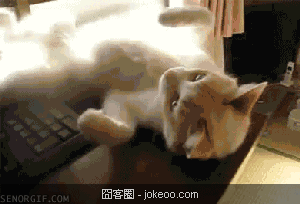 图片[4]-hi,兄弟来一个man的打招呼!-囧客圈