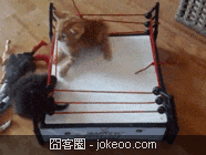 图片[5]-hi,兄弟来一个man的打招呼!-囧客圈