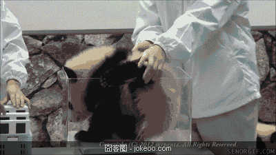 图片[3]-2货表示,世界末日毫无压力!-囧客圈