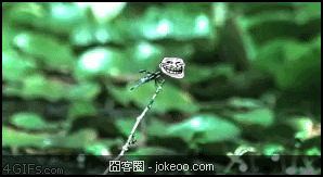 图片[4]-跳那么疯乃会不会头晕啊我擦-囧客圈