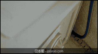 图片[5]-喵星人，请勿卖萌！-囧客圈