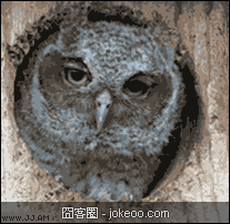 图片[2]-不要跟哥比2，因为哥横竖都是2-囧客圈