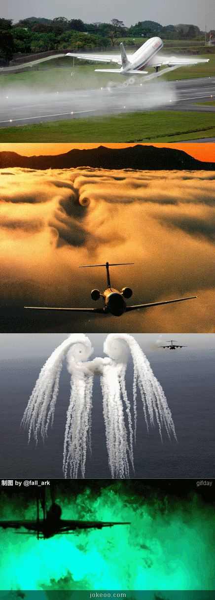 图片[2]-快看我的蛋！快看我的蛋蛋！快看我的蛋蛋蛋！-囧客圈