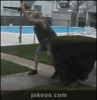 图片[4]-快看我的蛋！快看我的蛋蛋！快看我的蛋蛋蛋！-囧客圈