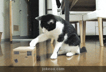 图片[1]-让我准备一下，再准备一下，啊哒～！-囧客圈