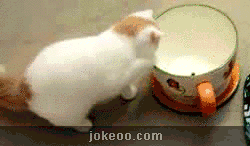 图片[3]-让我准备一下，再准备一下，啊哒～！-囧客圈