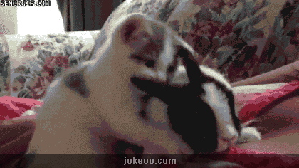 图片[2]-恩嗯，我不要～-囧客圈