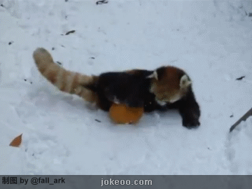 图片[4]-恐怖的大屁股攻击,姐弟俩都吓傻了!-囧客圈