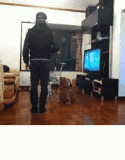 图片[2]-航母STYLE各种欢乐动态囧图集合:走你！-囧客圈