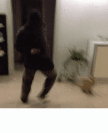 图片[5]-航母STYLE各种欢乐动态囧图集合:走你！-囧客圈