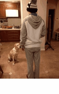 图片[6]-航母STYLE各种欢乐动态囧图集合:走你！-囧客圈