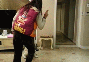 图片[10]-航母STYLE各种欢乐动态囧图集合:走你！-囧客圈