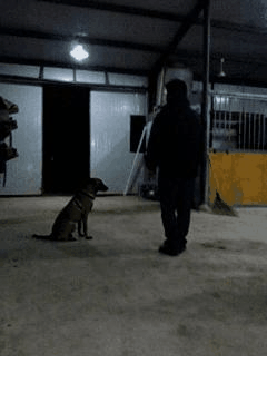 图片[16]-航母STYLE各种欢乐动态囧图集合:走你！-囧客圈