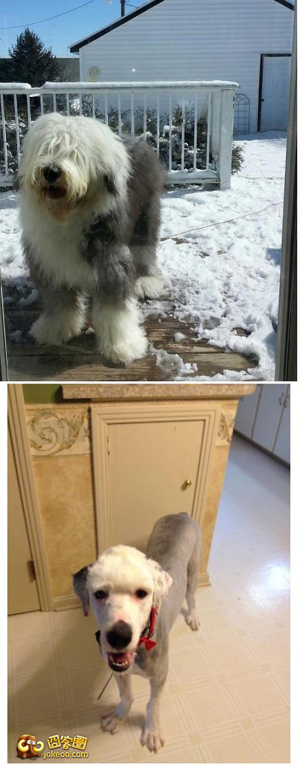 图片[2]-不和谐不舒服斯基-囧客圈