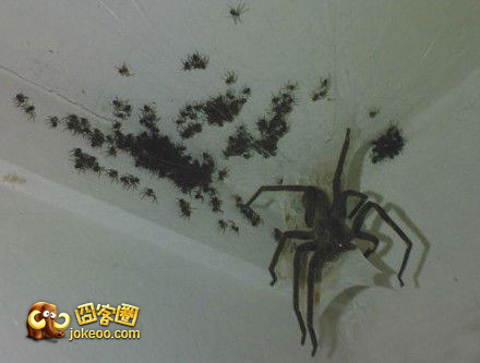 图片[3]-不和谐不舒服斯基-囧客圈