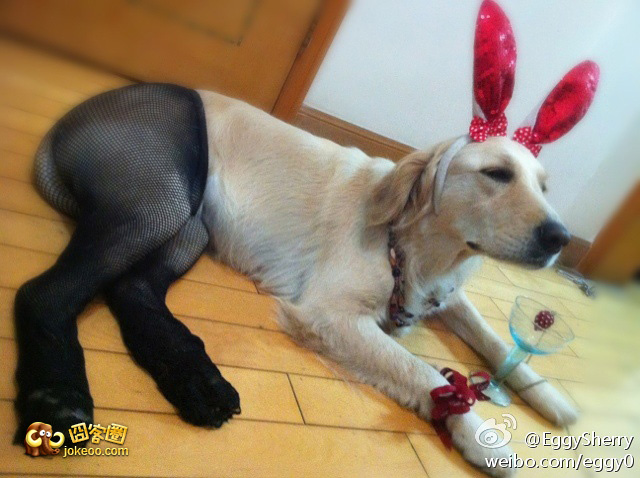 图片[5]-不和谐不舒服斯基-囧客圈