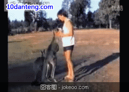 图片[2]-感觉来了 种族不是问题!-囧客圈