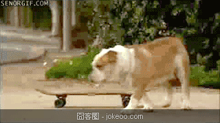 图片[3]-感觉来了 种族不是问题!-囧客圈